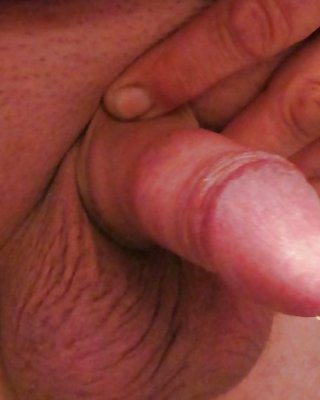 Penis #16288307
