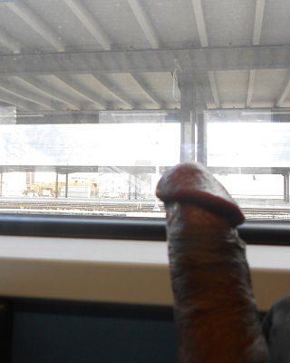 Hotcock's Train Trip