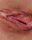 Meine Freundin Swinger #7253195