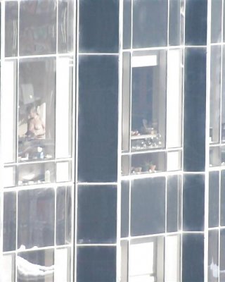 Chomp Fenster #14194123