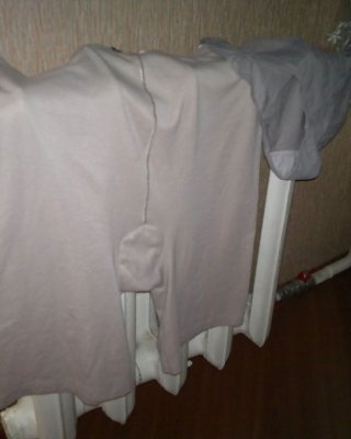 Panty #13258772