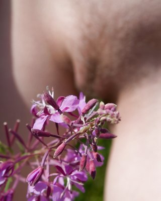 Gras #14995425