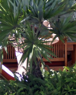 Katy Perry At Her Hotel In Miami