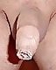 Cock #10539416