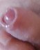 Mir #20163661