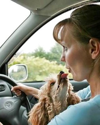 Schöne Damen Und Schöne Hunde #12806044