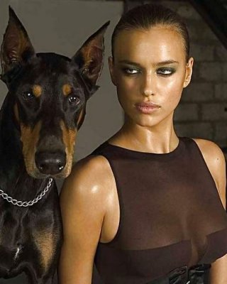 Schöne Damen Und Schöne Hunde #12806049