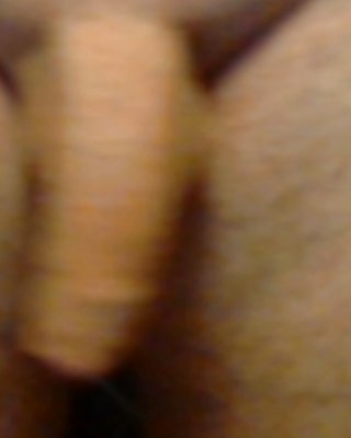 剃ったチンポ
 #12587878