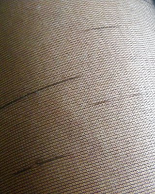 Schwarze Füße #11654176