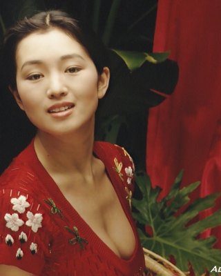 Gong Li - Asian Celebrity