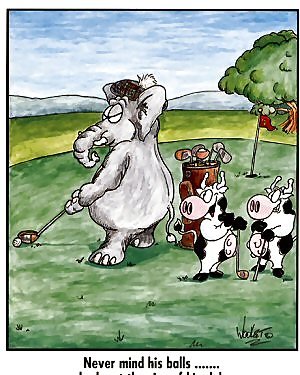 Erwachsenen Lustige & Cartoon #178419