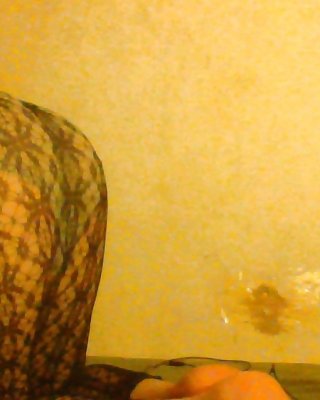 Neue Sissy Hündin Bilder #19736602