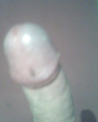 Penis #1886614