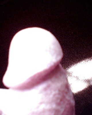 コックヘッド
 #12004025