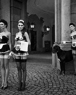 Französisch Magd 1! #19550333