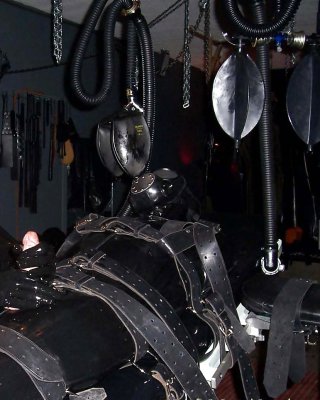 Meine Gummi Bilder #2255849