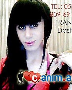 Trans Dascha #15120178