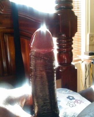 Der Penis #14890525