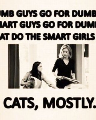 Random Funny Stuff #4440807