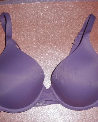 Honeybear BHs #3733400