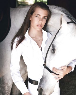 Equus #22349239