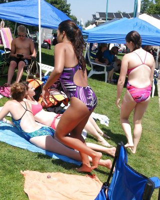 Schöne Esel An Wieder Das Schwimmbad. : D #21385154