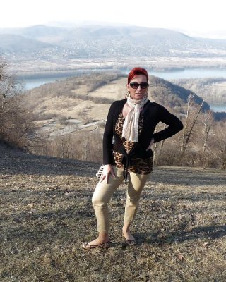 Sexy Hündinnen #17522689