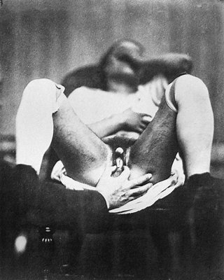 1860 Hermaphrodit #19968889