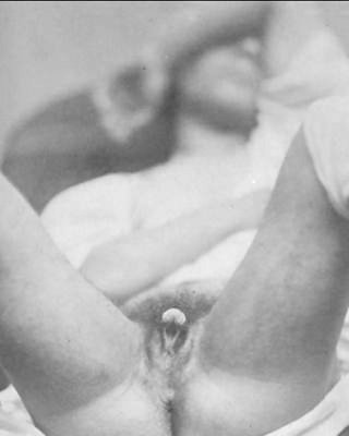 1860 Hermaphrodit #19968892