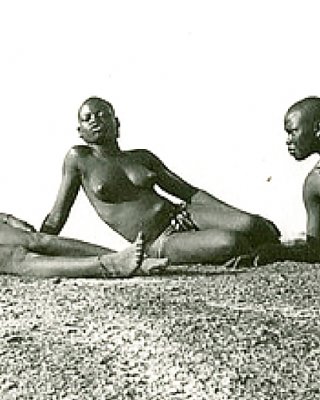 African Safari Iv #5481740