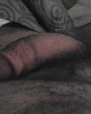 Meinen Schwanz #10302958
