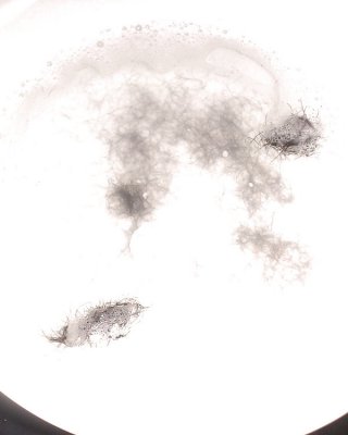 剃り残しのある髪の毛
 #15889679