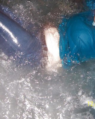 Skinny Dip 5 #16513014