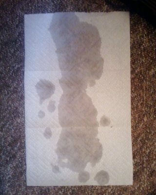 前後編
 #15438342