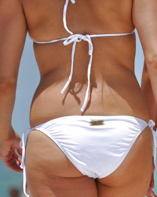 Anfang 20 Esel Als Strand #16342837