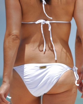 Anfang 20 Esel Als Strand #16342844