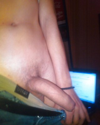 Mein Schwanz #15869023