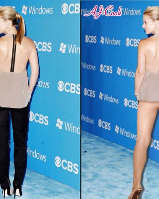 A.J. Cook Criminal Minds Fakes 1