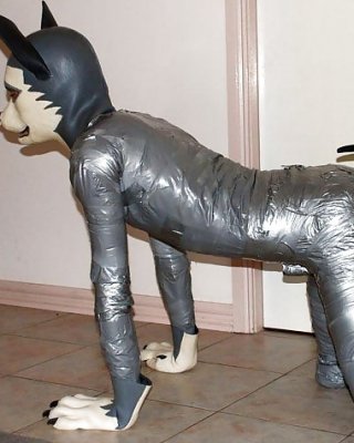 Bitch Suits, Gimp Suits, And Related Puppy Play