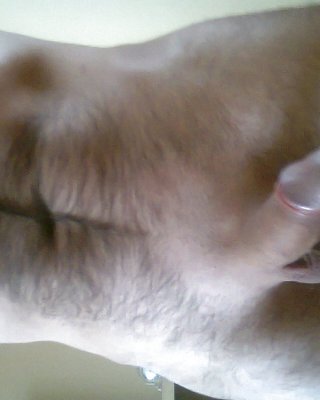 Nur Ich #5676404