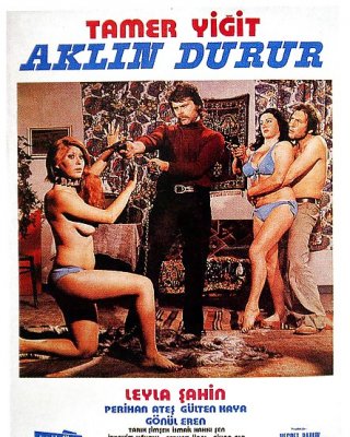Turkish Erotic Movies Porn Pictures, XXX Photos, Sex Images #883715 - PICTOA