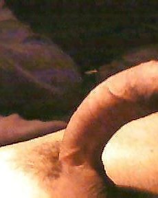 Meinen Schwanz #12856930