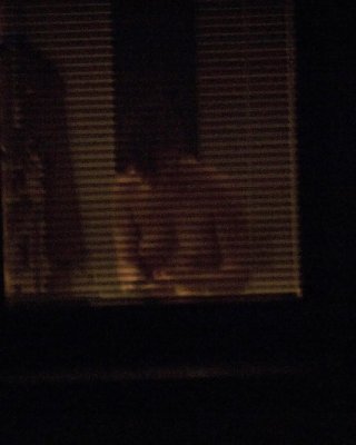 Window views #16387393