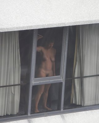 Window views #16387423