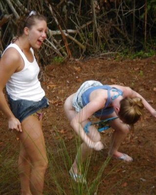 Netzwerk Netzwerk Little Star #21244798