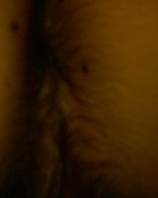 Mit Tara #11074783
