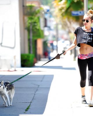 Miley Cyrus damn hot #11132574