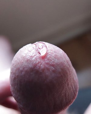 Pre Cum Lovers