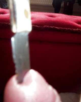 Penis Cbt #15808674