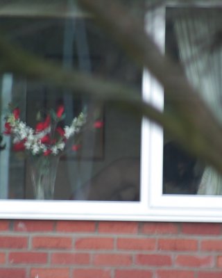 卑劣なスパイ写真
 #16952326